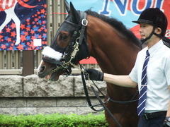 20180616 東京6R 3歳未勝利 ロジスカーレット 04