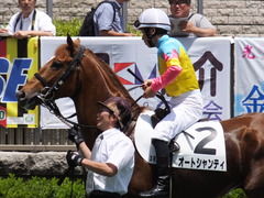 20160604 東京3R 3歳未勝利 オートシャンティ 12