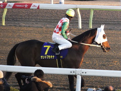 20161229 大井10R 東京大賞典(G1) サンドプラチナ 20