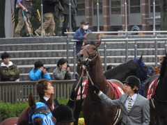 20131109 東京 モーリス 03