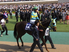 20150517 東京11R VM(G1) アルマディヴァン 14
