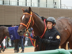 20181223 中山3R 2歳未勝利 ピンシェル 24