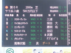 20190105 中山6R 3歳(500) クラサーヴィツァ 01