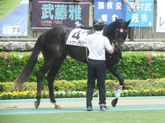 20190504 東京4R 3歳未勝利 ショウナンサジン 11