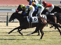 20150112 中山5R 3歳未勝利 ロジダーリング 18