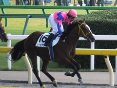20151012 東京4R 2歳メイクデビュー ノーモアゲーム 15