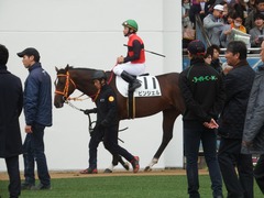 20181223 中山3R 2歳未勝利 ピンシェル 15