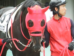 20180513 東京2R 3歳未勝利 ノーザンクリス 02