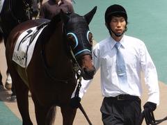 20150524 東京7R 4歳上500万下 トレジャーマップ 05