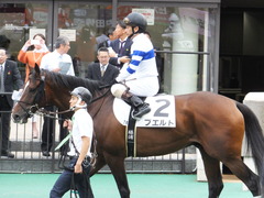 20161009 東京7R (500) プエルト 16