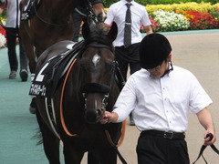 20160619 東京9R 芦ノ湖特別(1000) マイネルサージュ 04