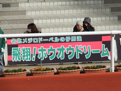 20181209 阪神9R オリオンS(1600) ホウオウドリーム 01