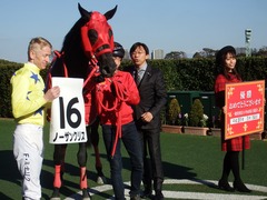 20190114 中山8R 4歳上(500) ノーザンクリス 22