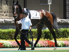 20140614 東京3R ダノンジャガー 06