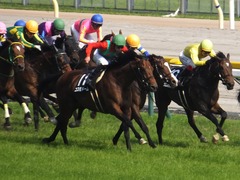 S0320160522 東京10R フリーウェイS(1600) ロジダーリング 20