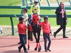 20180324 中山1R 3歳未勝利 ノーザンクリス 15