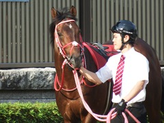 20180527 東京12R 目黒記念(G2) ホウオウドリーム 08