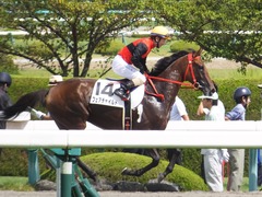 20170910 阪神3R 3歳未勝利 フェアチャイルド 28