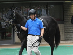 20170625 東京11R パラダイスS 3歳上(OP) ショウナンアチーヴ 06