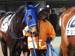 20170204 東京4R 4歳上障害未勝利 モーゼス 12