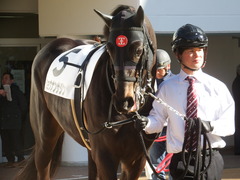 20190119 中山2R 3歳未勝利 ショウナンサジン 08