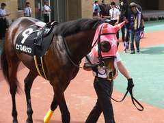 20160710 中京10R 木曽川特別(1000) ビップレボルシオン 07