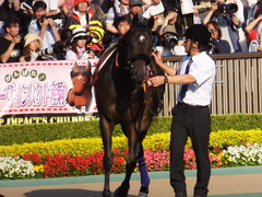 20170528 東京12R 目黒記念(G2) マイネルサージュ 14