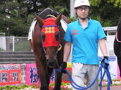20170524 大井8R B2 マイネルグルマン 10