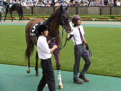 20131014 東京10R ユーロビート