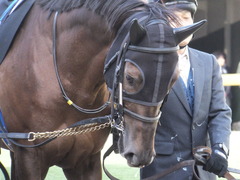 20140321 中山10R グレートチャールズ 04