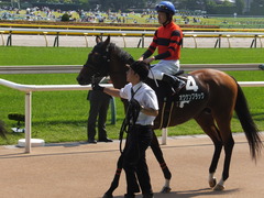 20160522 東京9R 石和特別(1000) オウケンブラック 18