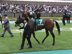ツクバアスナロ13