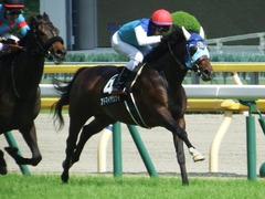20180602 東京9R 国分寺特別 3歳上500万下 アドマイヤシナイ 22