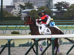 20170311 阪神3R 3歳メイクデビュー フェアチャイルド 26
