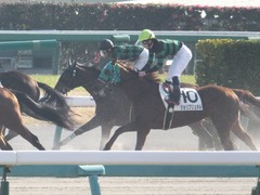 20171216 中山2R 2歳牝馬未勝利 ルフィーナ 12
