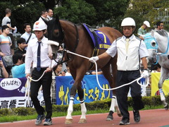 20140915 大井11R 東京記念 ユーロビート 04