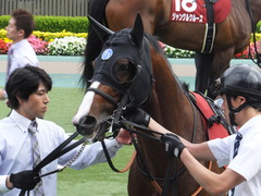 20160529 東京12R 目黒記念(G2) リヤンドファミユ 09