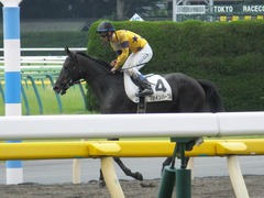 20170625 東京6R 3歳未勝利 ファインパープル 21