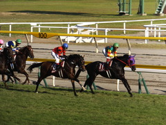 20140921 セントライト記念 ラグーン&ブラックン 01