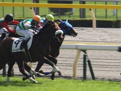 20151012 東京3R 2歳未勝利 ヤマニンリュウセイ 12
