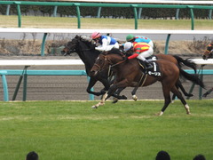 20150307 中山10R スピカS 4歳上1600万下 モーリス 16