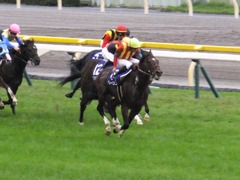 20161030 東京11R 天皇賞・秋(G1) モーリス 24