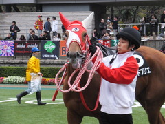 20151123 東京10R 鷹巣山特別 レーヌドブリエ 14