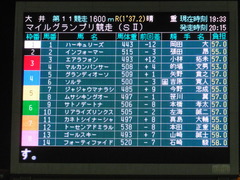 20151104 大井11R マイルグランプリ(S2) グランディオーソ 01