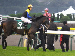 20151123 東京11R 東スポ杯2歳S(G2) プロディガルサン 07