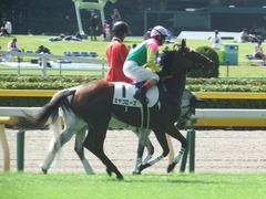 20181007 東京3R 2歳未勝利 ミヤコローズ 26