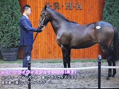 クライウィズジョイ15