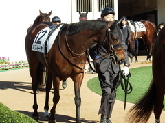 20171203 中山4R 2歳未勝利 ルフィーナ 09