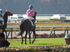 20131117 東京 ビップレボルシオン 16