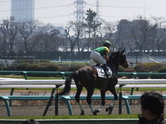 20140316 中山5R キングラナキラ 15